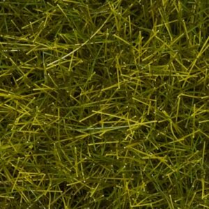 NOCH, 07110, Vildgräs, XL, "Äng", 12mm, 40g, Passar samtliga skalor.