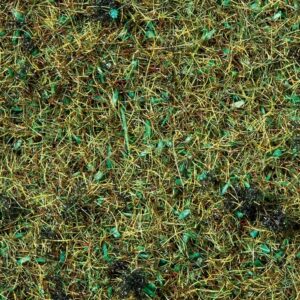 NOCH, 08350, Vildgräs, "Skogsvegetation", 2,5mm, 20g, Passar samtliga skalor.