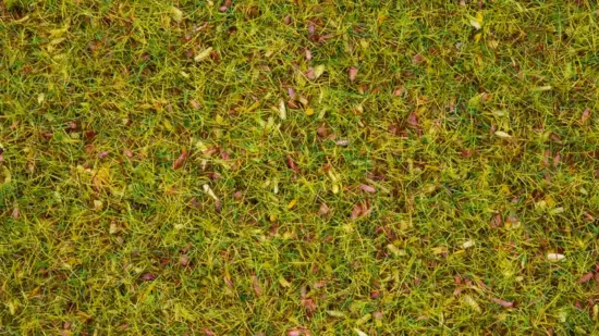 NOCH, 08330, Vildgräs, "Blomsteräng", 2,5mm, 20g, Passar samtliga skalor.
